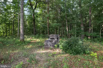 1488 Millner Road, Strasburg, VA 22657 - Photo 23