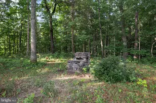 1488 Millner Rd, Strasburg, VA 22657 - Photo 23