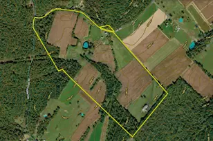 368 Ridge Hollow Rd, Edinburg, VA 22824 - Photo 143