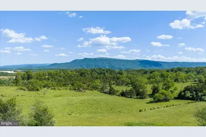 496 Clary Road, Strasburg, VA 22657 - Photo 89