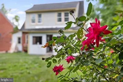 564 Orchard Street, Strasburg, VA 22657 - Photo 37