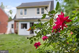 564 Orchard St, Strasburg, VA 22657 - Photo 37