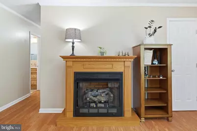 356 White Oak Lane, New Market, VA 22844 - Photo 21