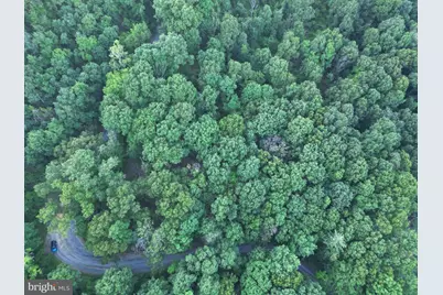 Tbd Rolly Rd, Mount Jackson, VA 22842 - Photo 3