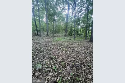 Tbd Rolly Rd, Mount Jackson, VA 22842 - Photo 13