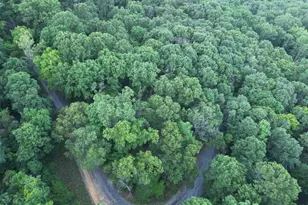 Tbd Rolly Rd, Mount Jackson, VA 22842 - Photo 1