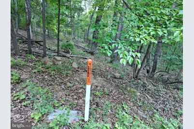 Tbd Rolly Rd, Mount Jackson, VA 22842 - Photo 17