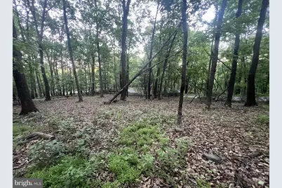 Tbd Rolly Rd, Mount Jackson, VA 22842 - Photo 11