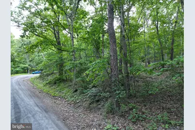 Tbd Rolly Rd, Mount Jackson, VA 22842 - Photo 13