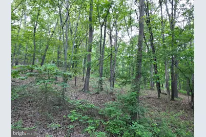 Tbd Rolly Rd, Mount Jackson, VA 22842 - Photo 9