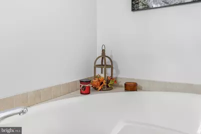 7393 Orkney Grade, Mount Jackson, VA 22842 - Photo 31