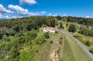 7393 Orkney Grade, Mount Jackson, VA 22842 - Photo 53