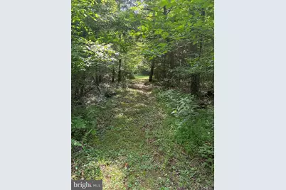 1499 Buggy Ridge Road, Mount Jackson, VA 22842 - Photo 39