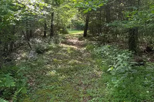 1499 Buggy Ridge Rd, Mount Jackson, VA 22842 - Photo 39