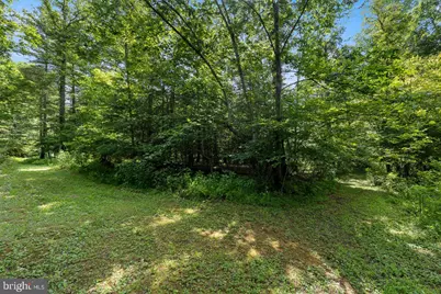 1499 Buggy Ridge Road, Mount Jackson, VA 22842 - Photo 27