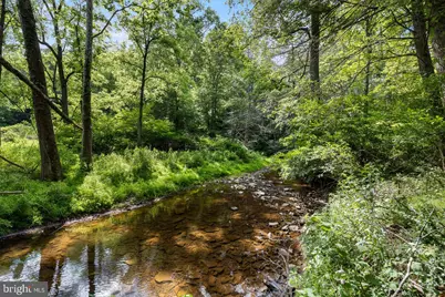 1499 Buggy Ridge Road, Mount Jackson, VA 22842 - Photo 29