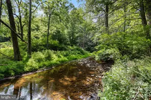 1499 Buggy Ridge Rd, Mount Jackson, VA 22842 - Photo 29