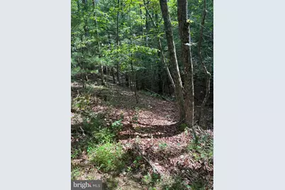 1499 Buggy Ridge Road, Mount Jackson, VA 22842 - Photo 37