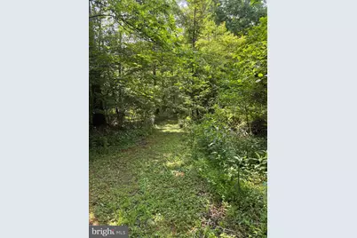 1499 Buggy Ridge Road, Mount Jackson, VA 22842 - Photo 35