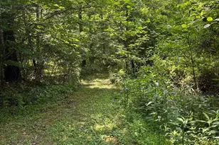 1499 Buggy Ridge Rd, Mount Jackson, VA 22842 - Photo 35