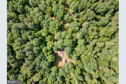1499 Buggy Ridge Road, Mount Jackson, VA 22842 - Photo 3