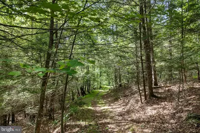 1499 Buggy Ridge Road, Mount Jackson, VA 22842 - Photo 31