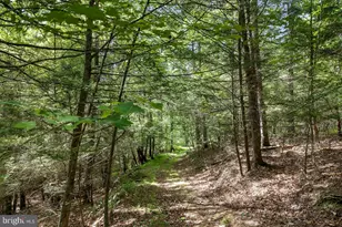 1499 Buggy Ridge Rd, Mount Jackson, VA 22842 - Photo 31