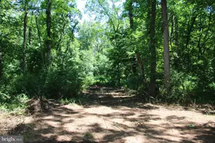 112 Cedar Hill Rd, Strasburg, VA 22657 - Photo 21