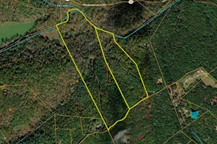 112 Cedar Hill Rd, Strasburg, VA 22657 - Photo 31