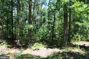 112 Cedar Hill Rd, Strasburg, VA 22657 - Photo 25