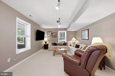 226 Early Drive, Basye, VA 22810 - Photo 41