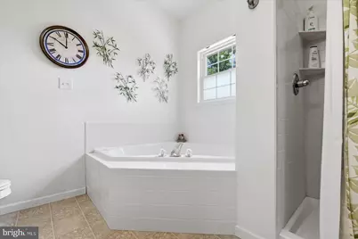 226 Early Drive, Basye, VA 22810 - Photo 33
