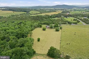 2447 Headquarters Rd, Edinburg, VA 22824 - Photo 49
