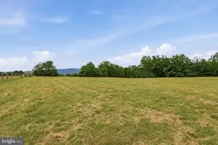 2447 Headquarters Rd, Edinburg, VA 22824 - Photo 101