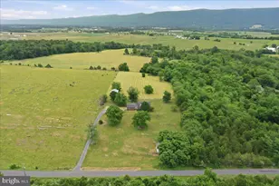 2447 Headquarters Rd, Edinburg, VA 22824 - Photo 55
