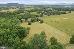 2447 Headquarters Rd, Edinburg, VA 22824 - Photo 109