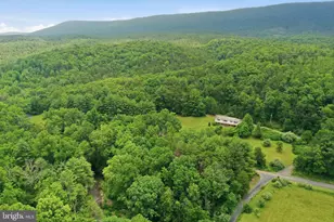 3704 Cedar Creek Rd, Star Tannery, VA 22654 - Photo 37