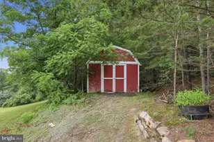 3704 Cedar Creek Rd, Star Tannery, VA 22654 - Photo 33