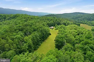 3704 Cedar Creek Rd, Star Tannery, VA 22654 - Photo 39