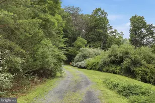 3704 Cedar Creek Rd, Star Tannery, VA 22654 - Photo 33