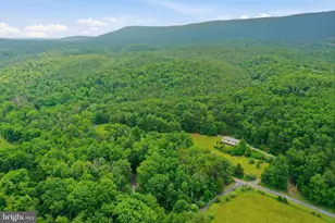 3704 Cedar Creek Rd, Star Tannery, VA 22654 - Photo 35