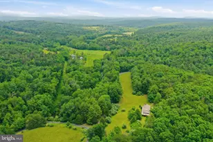 3704 Cedar Creek Rd, Star Tannery, VA 22654 - Photo 41