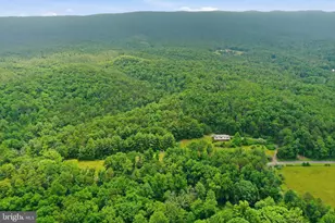 3704 Cedar Creek Rd, Star Tannery, VA 22654 - Photo 37