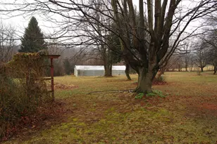 1346 Old Grade Rd, Strasburg, VA 22657 - Photo 7