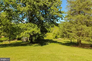 11 Hickory Ln, Woodstock, VA 22664 - Photo 81
