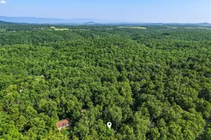 272 Willow Ln, Mount Jackson, VA 22842 - Photo 37