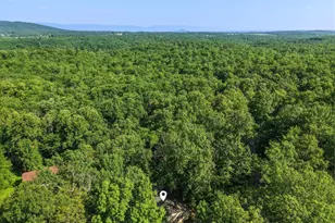 272 Willow Ln, Mount Jackson, VA 22842 - Photo 43