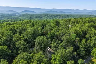 272 Willow Ln, Mount Jackson, VA 22842 - Photo 41