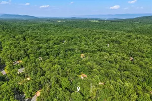272 Willow Ln, Mount Jackson, VA 22842 - Photo 35