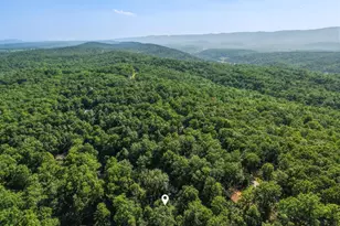 272 Willow Ln, Mount Jackson, VA 22842 - Photo 33